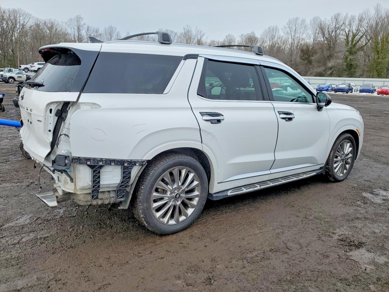 2020 Hyundai Palisade Limited - Image 3