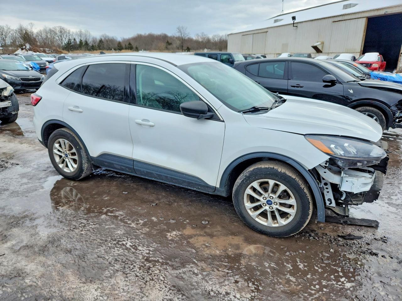 2022 Ford Escape Se - Image 4