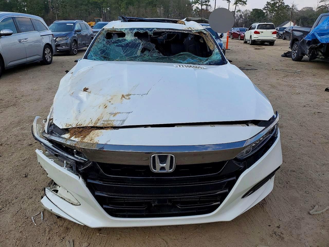 2019 Honda Accord Sport - Image 5