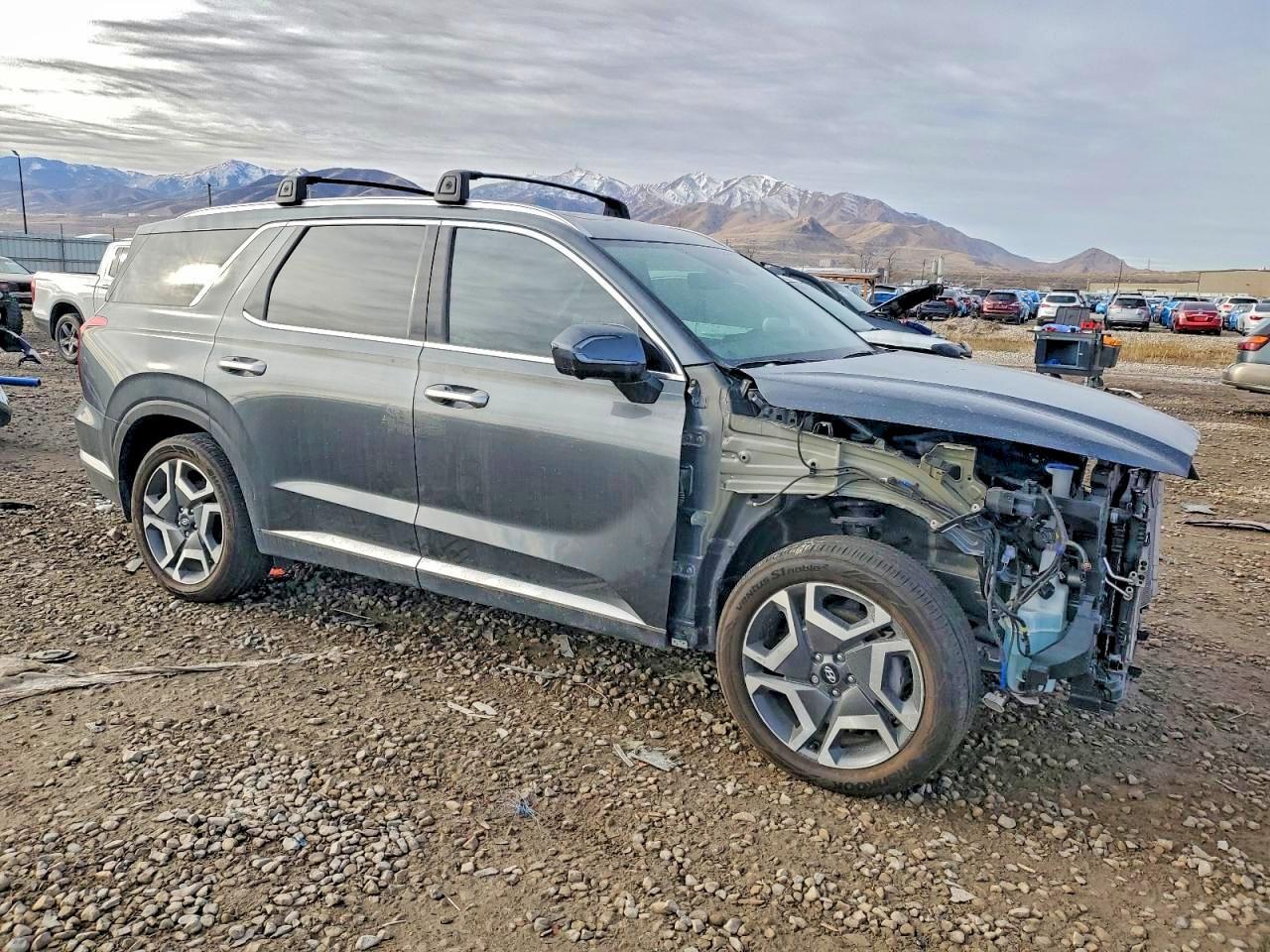 2025 Hyundai Palisade Sel Premium - Фото 4