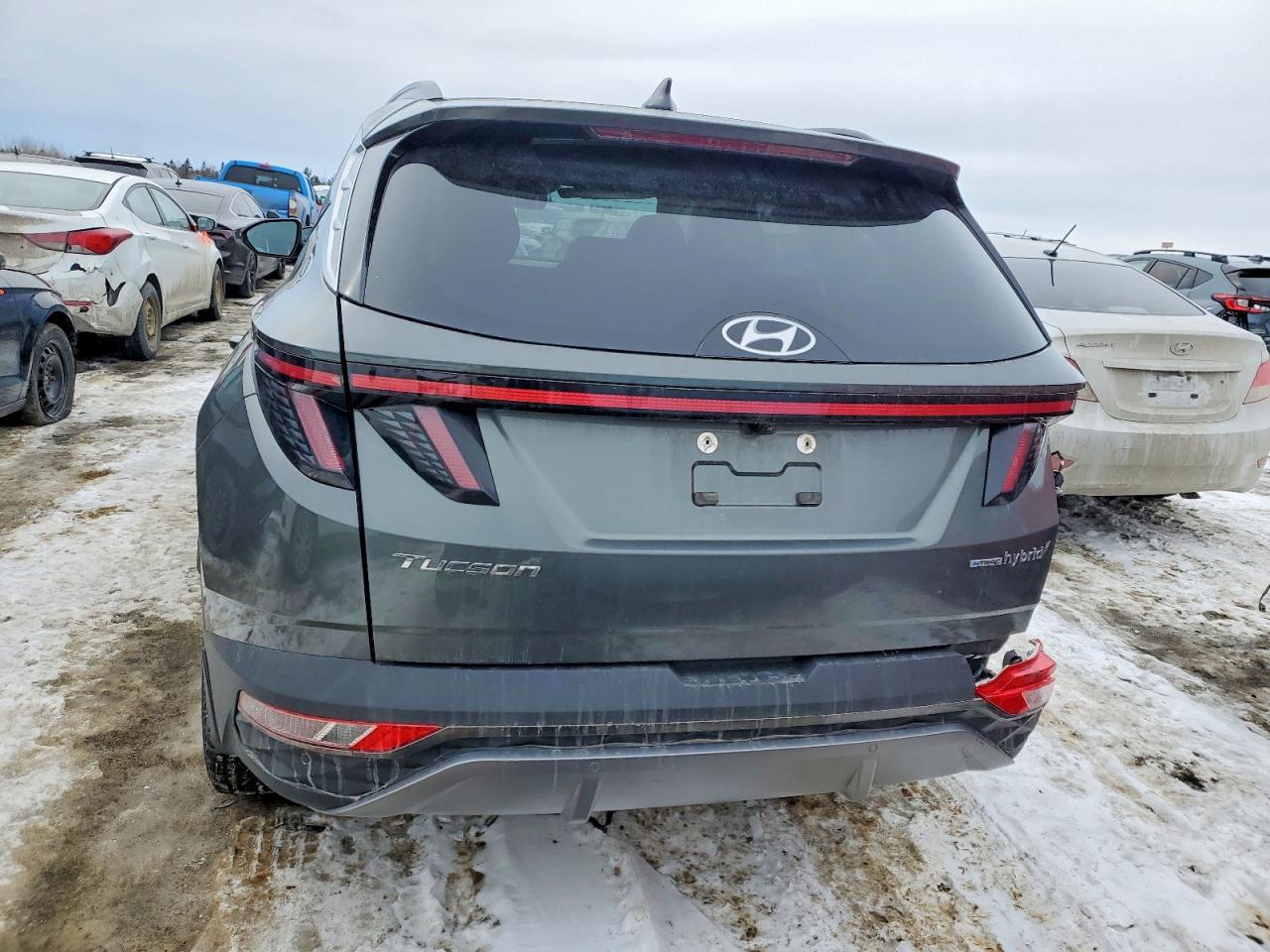 2023 Hyundai Tucson Luxury - Фото 6
