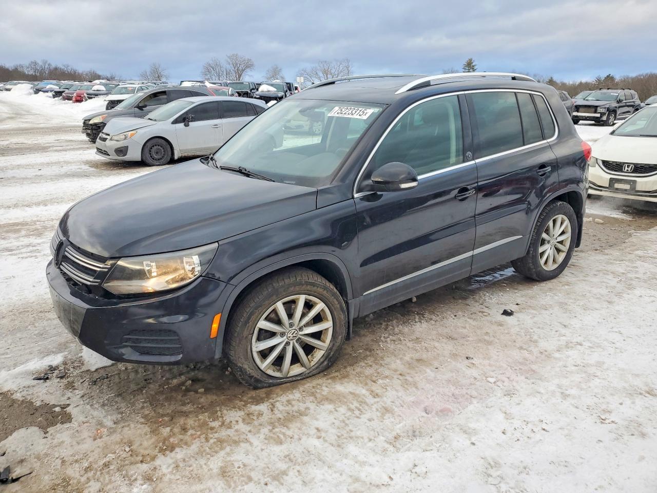2017 Volkswagen Tiguan Wolfsburg