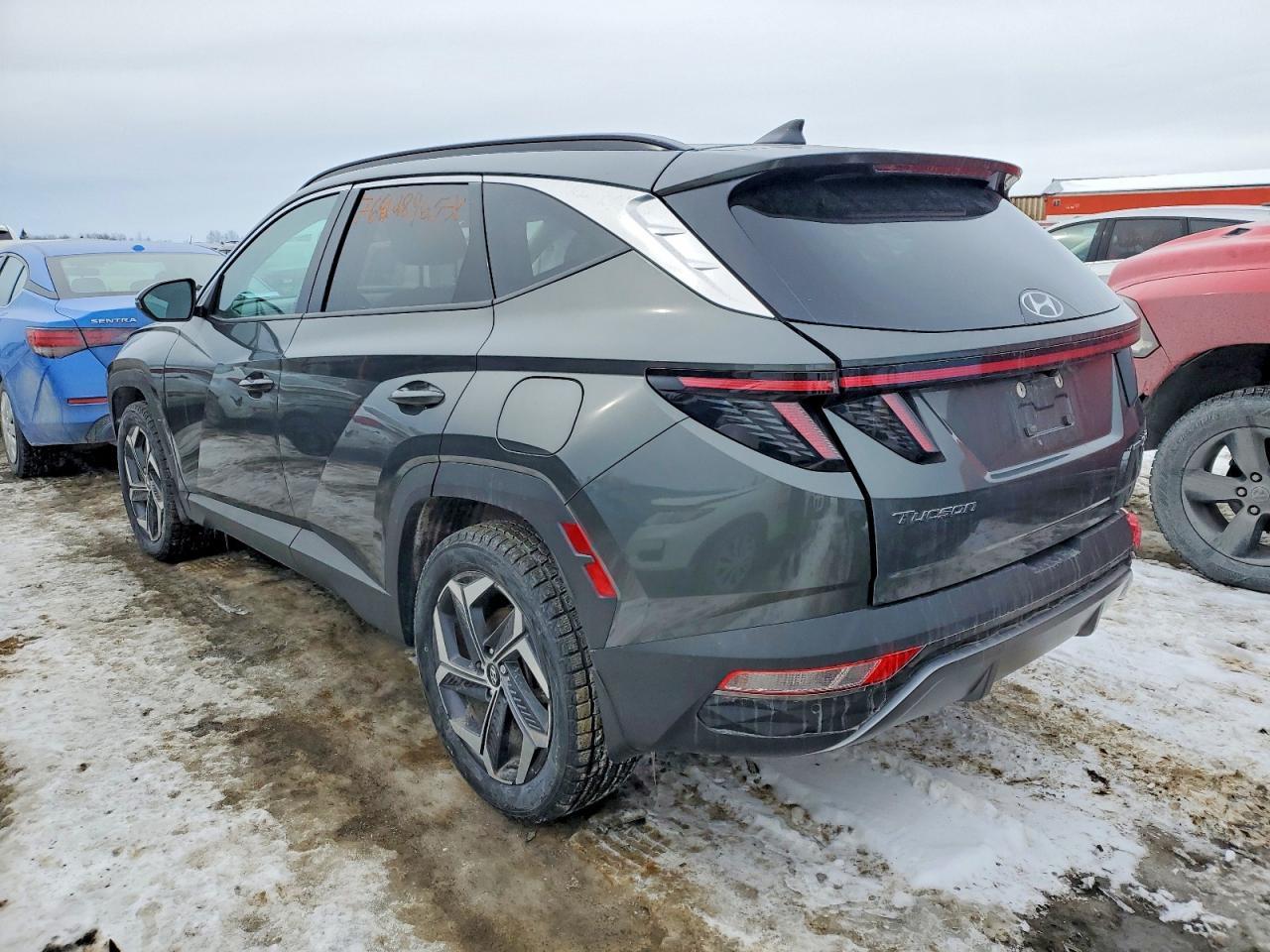 2023 Hyundai Tucson Luxury - Фото 2