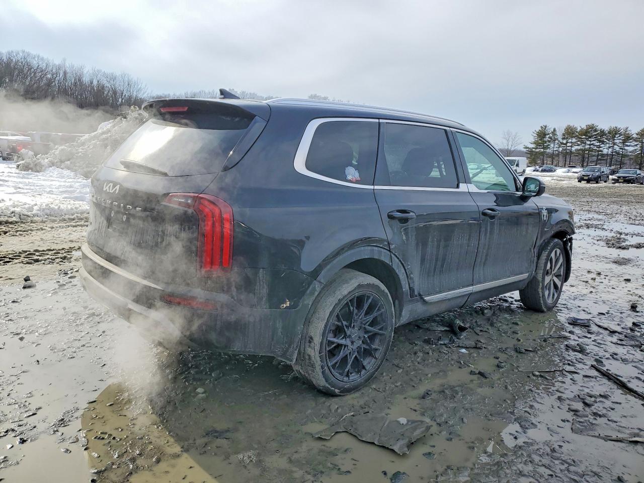 2022 Kia Telluride Ex - Фото 3