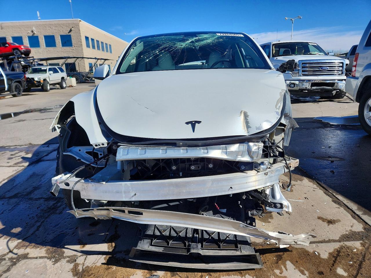 2021 Tesla Model Y - Фото 5