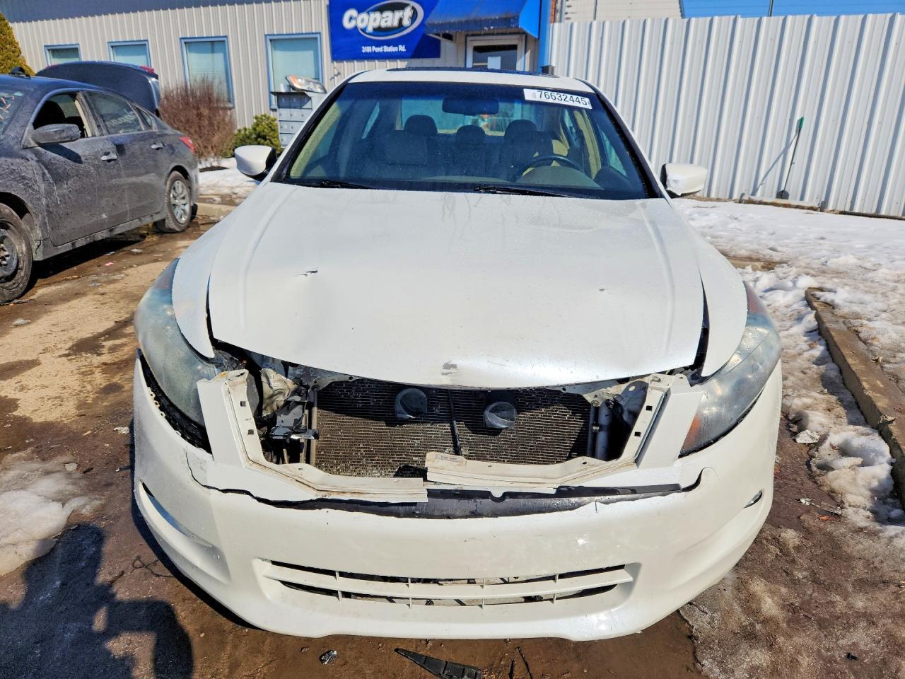 2008 Honda Accord Exl - Фото 5