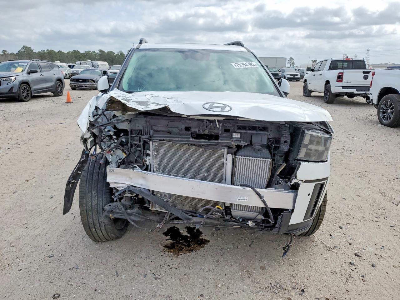 2025 Hyundai Santa Fe Calligraphy - Фото 5