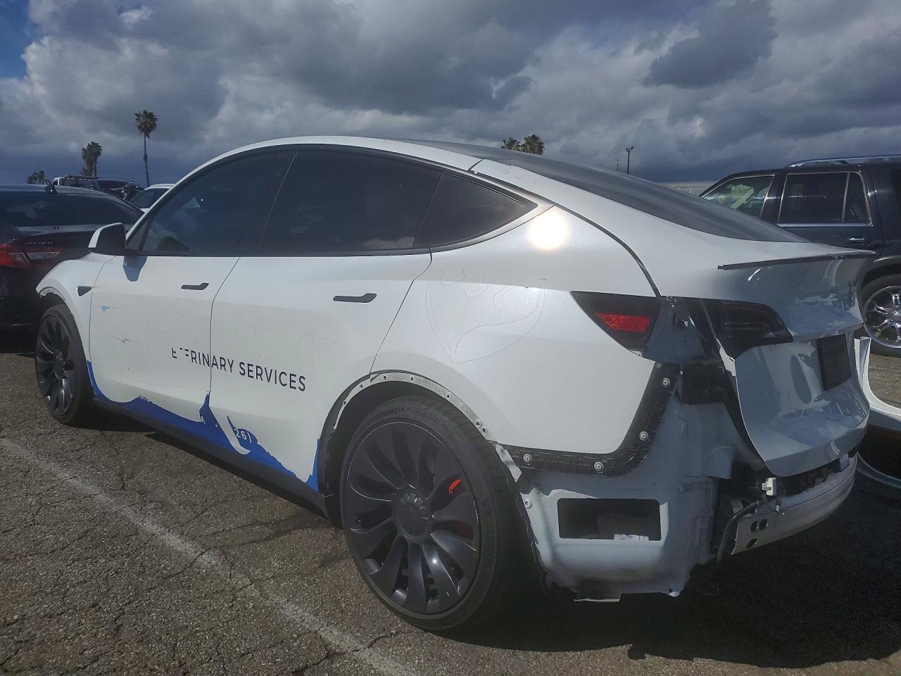 2022 Tesla Model Y - Фото 2