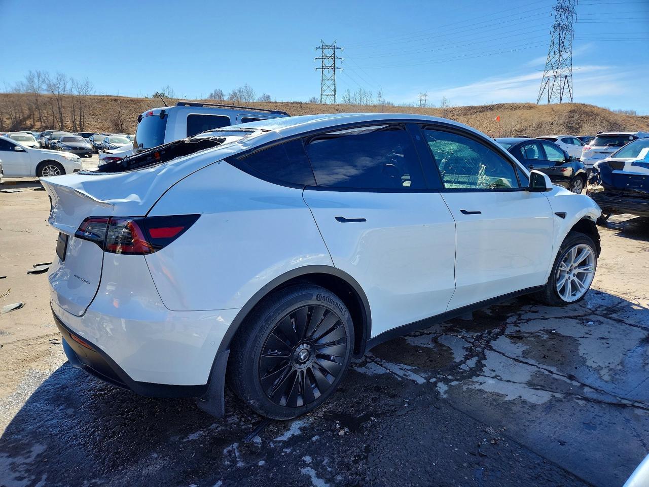 2021 Tesla Model Y - Фото 3