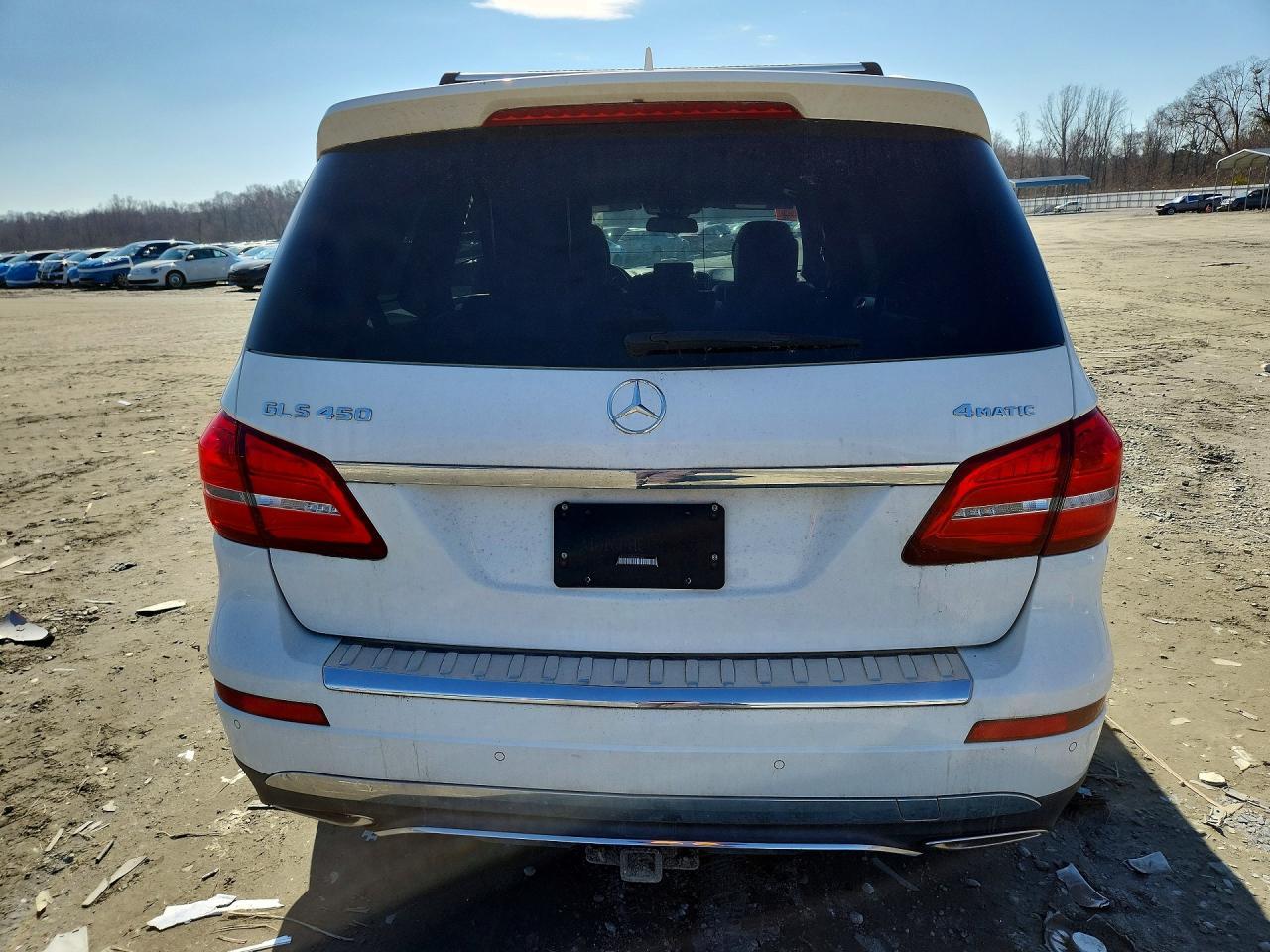 2017 Mercedes-Benz Gls 450 4Matic - Фото 6