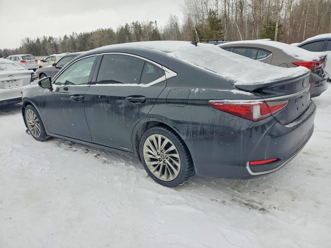 2019 Lexus Es 300H - Фото 2