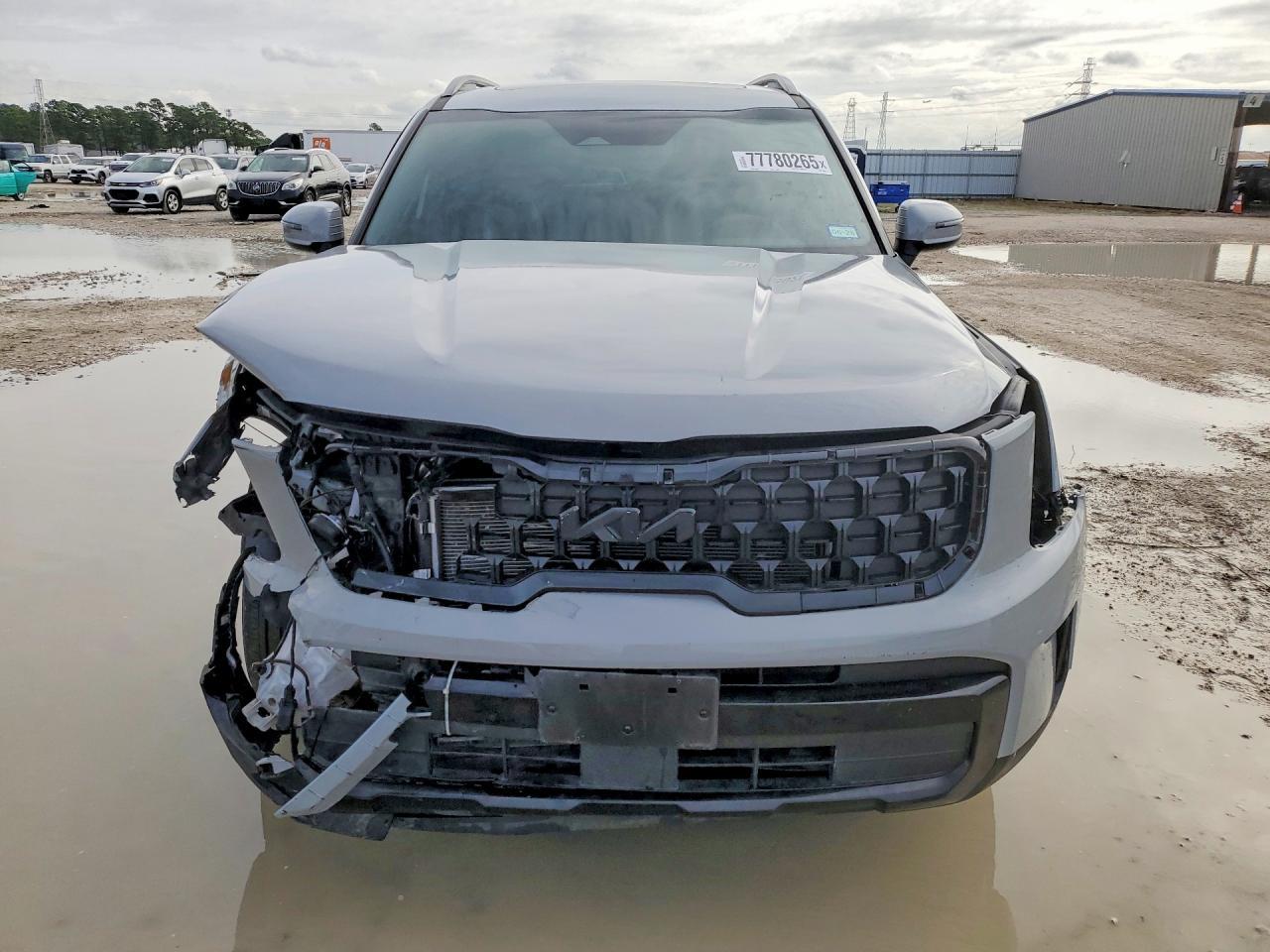 2024 Kia Telluride Ex - Фото 5