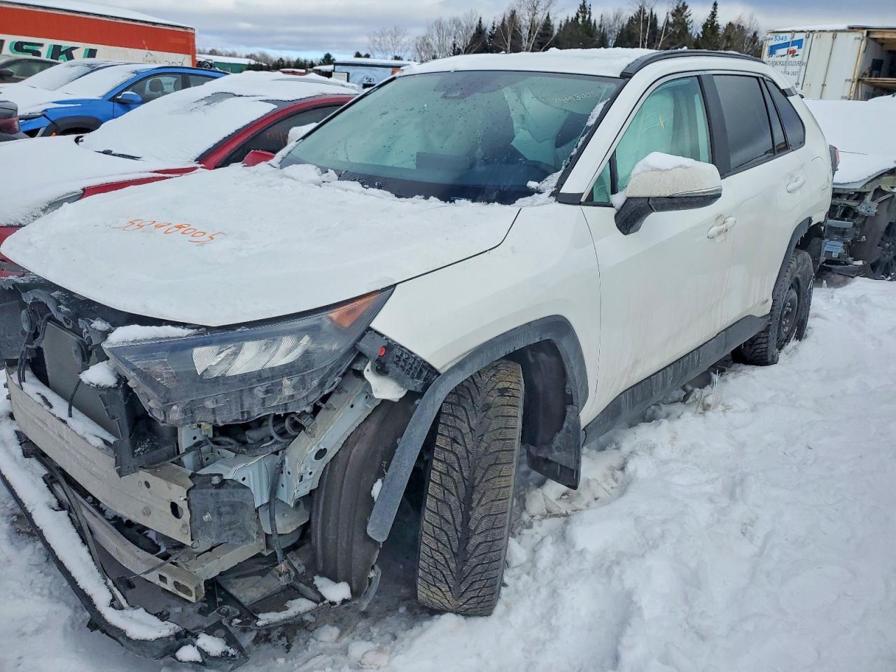 2025 Toyota Rav4 Le