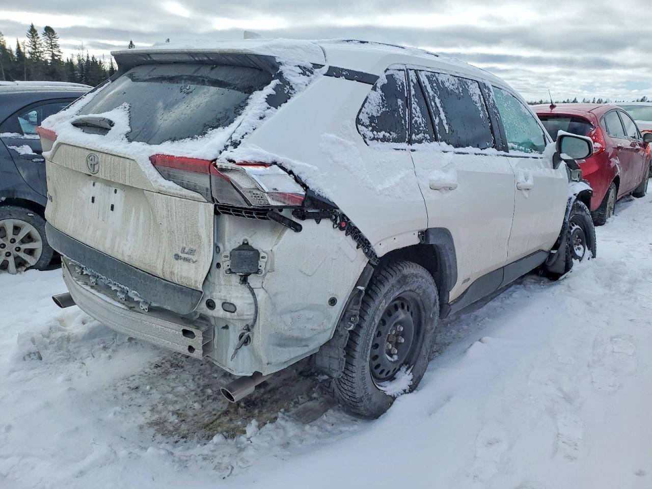 2025 Toyota Rav4 Le - Фото 3