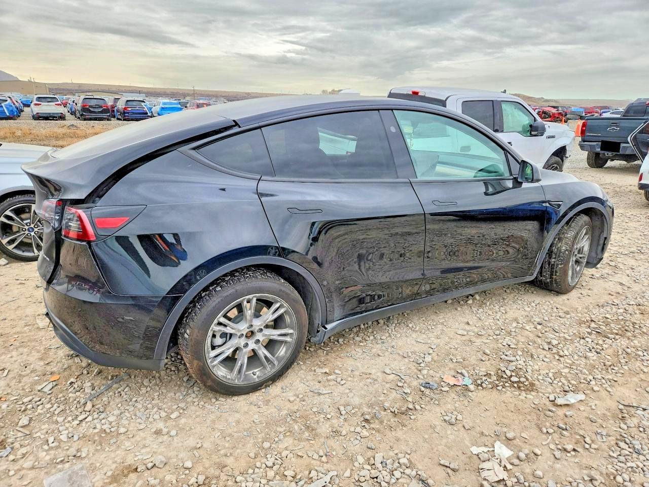 2024 Tesla Model Y - Фото 3