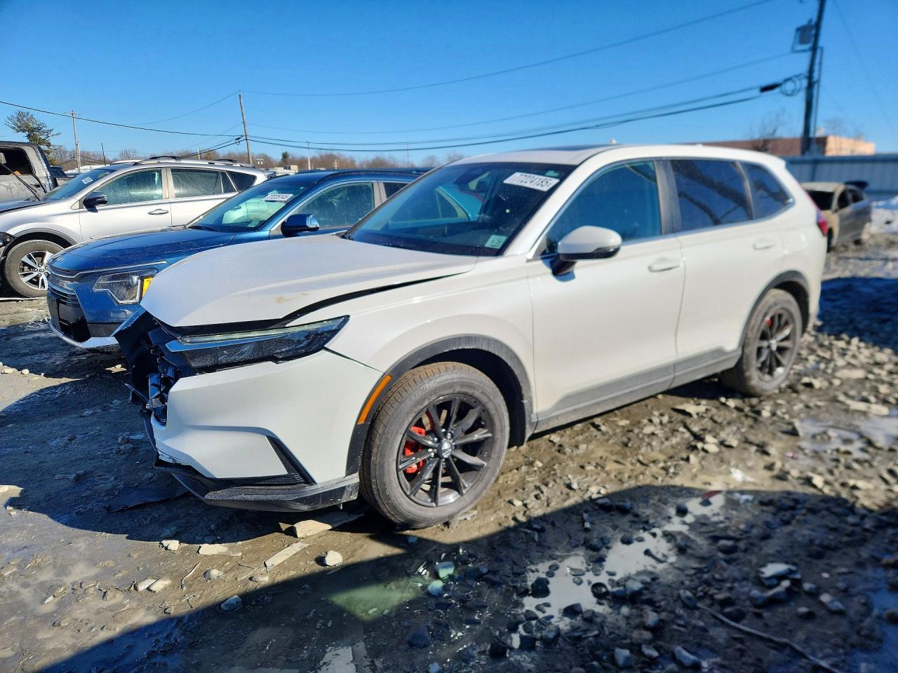 2025 Honda Cr-V Ex