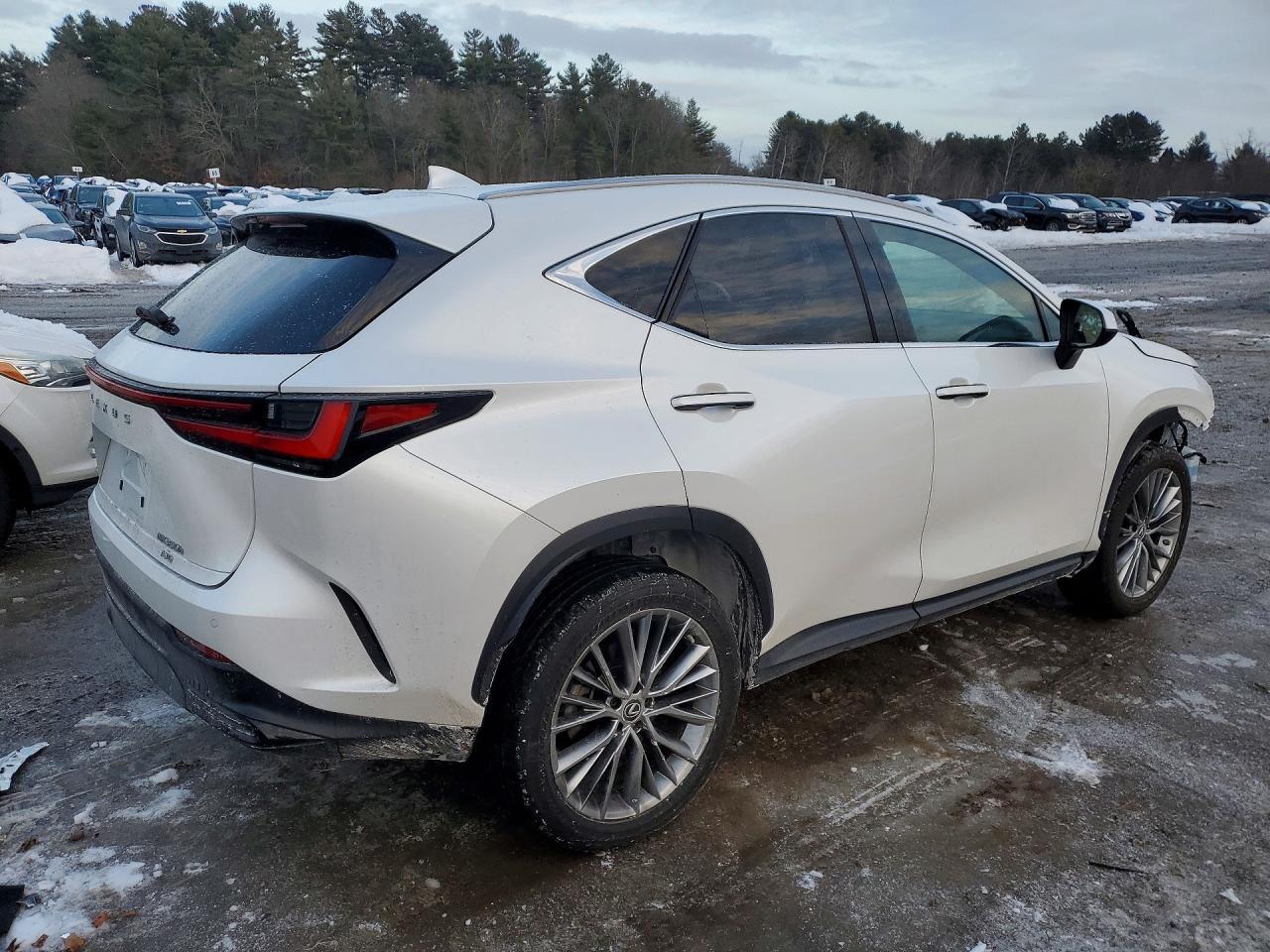 2023 Lexus Nx 350H - Image 3