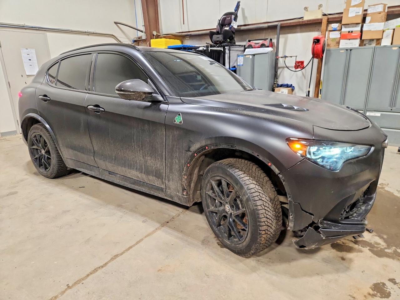 2024 Alfa Romeo Stelvio Quadrifoglio - Image 4