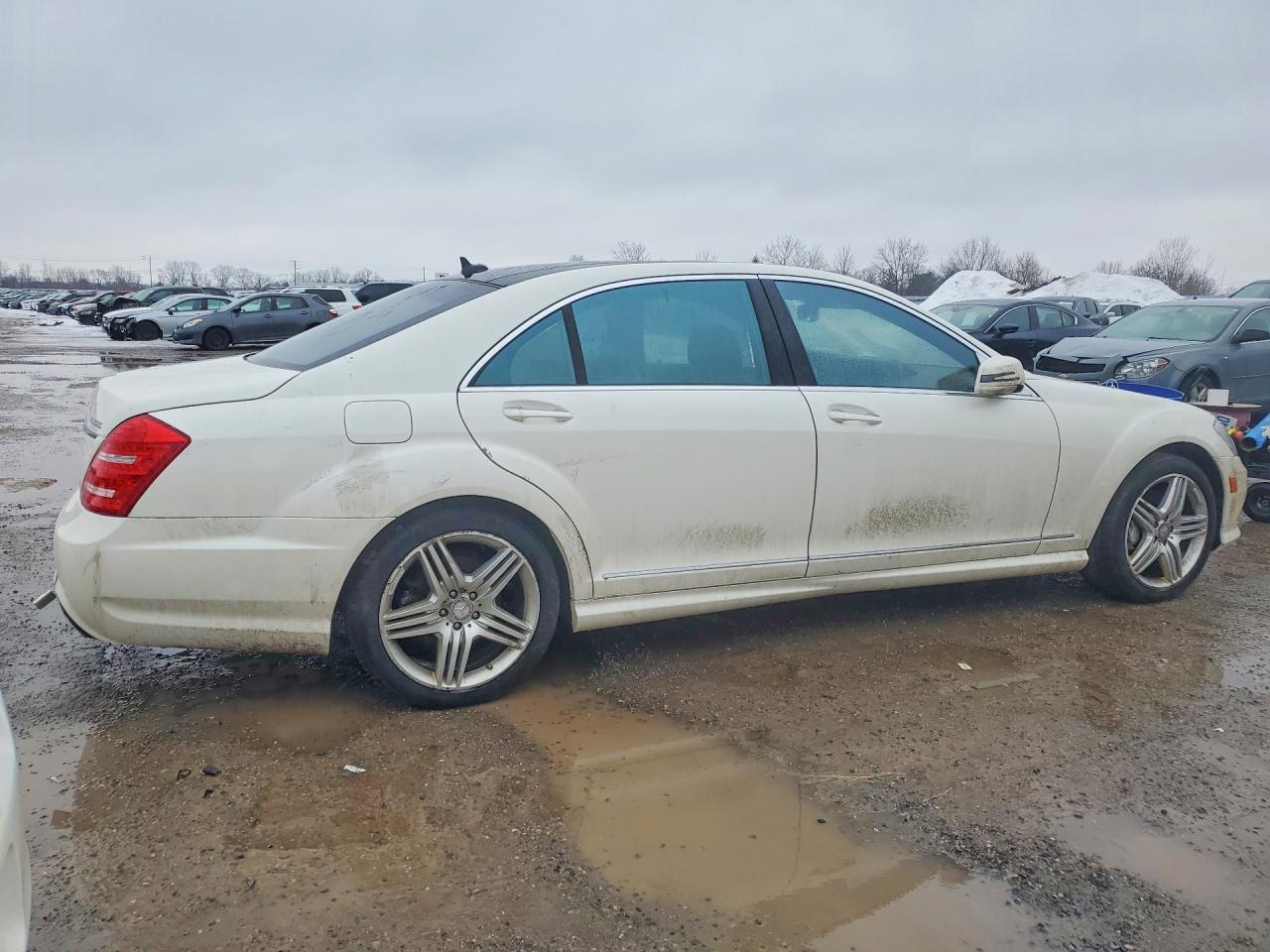 2013 Mercedes-Benz S 350 Bluetec - Фото 3