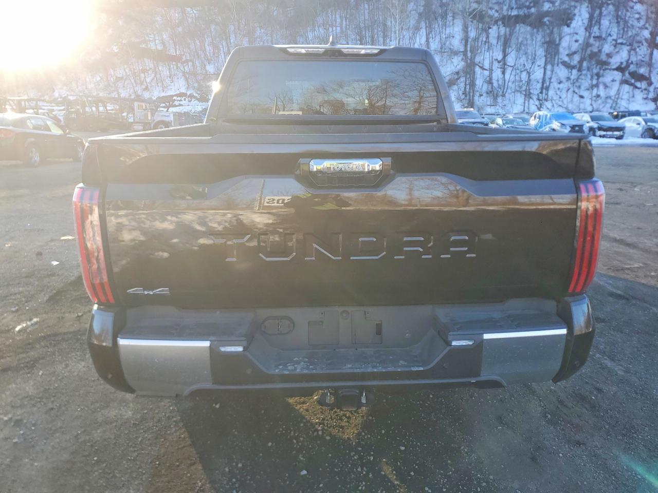 2025 Toyota Tundra Crewmax Limited - Фото 6