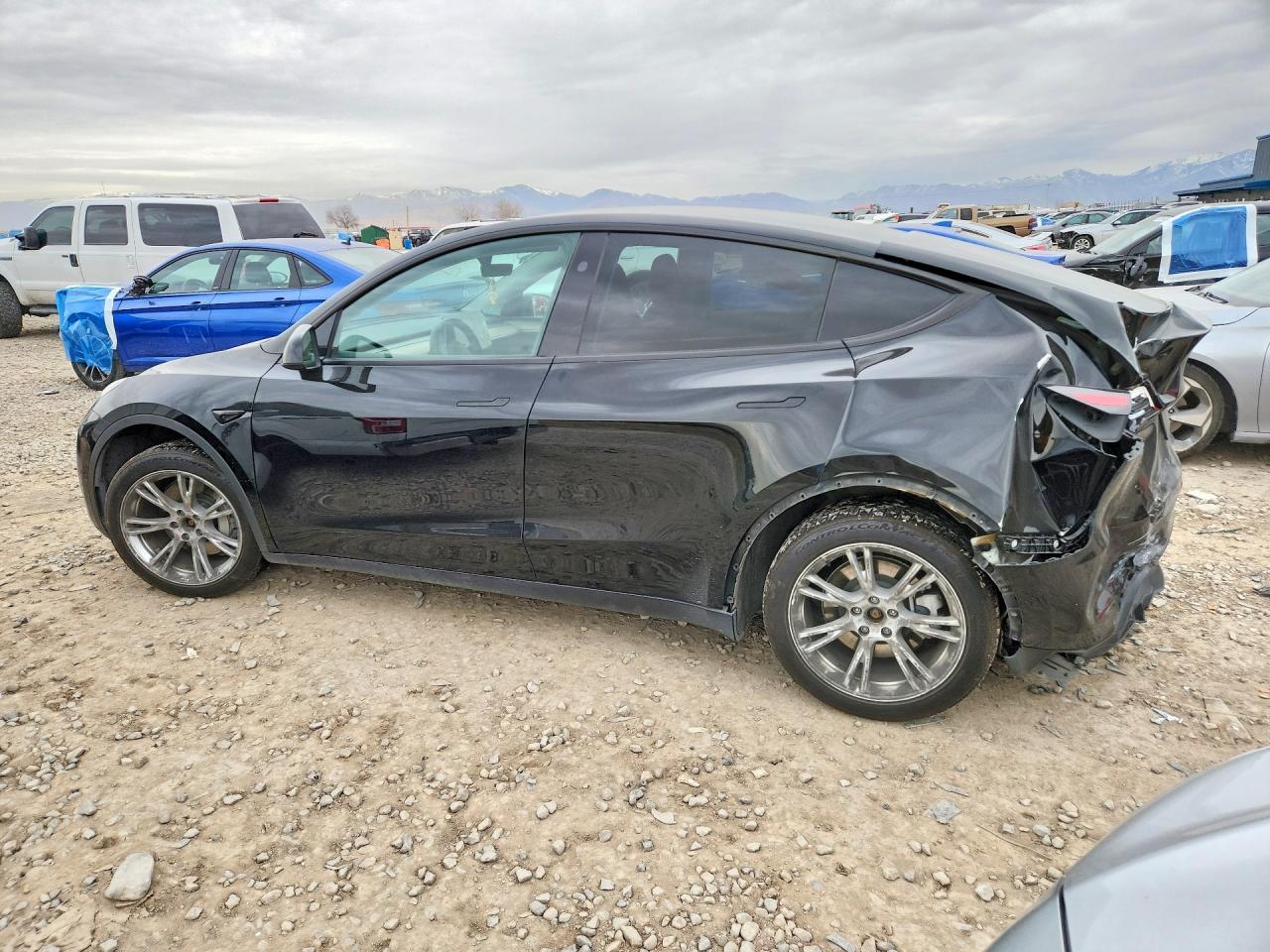 2024 Tesla Model Y - Фото 2