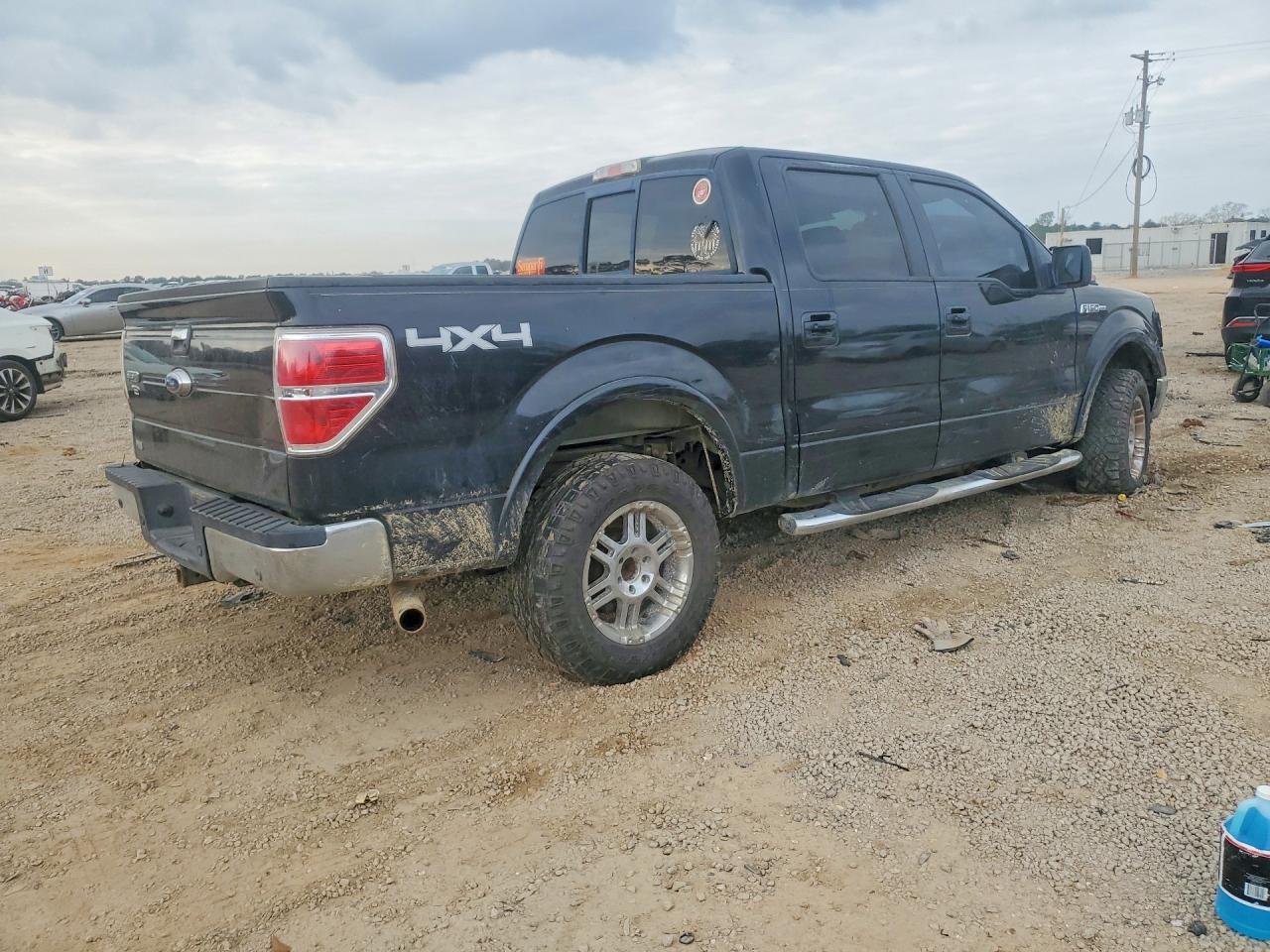2010 Ford F150 Supercrew - Фото 3