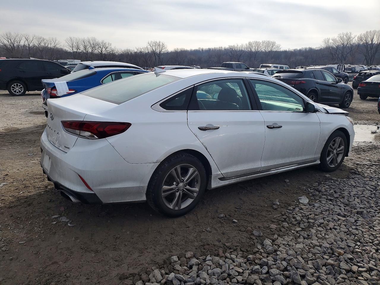 2019 Hyundai Sonata Limited - Image 3