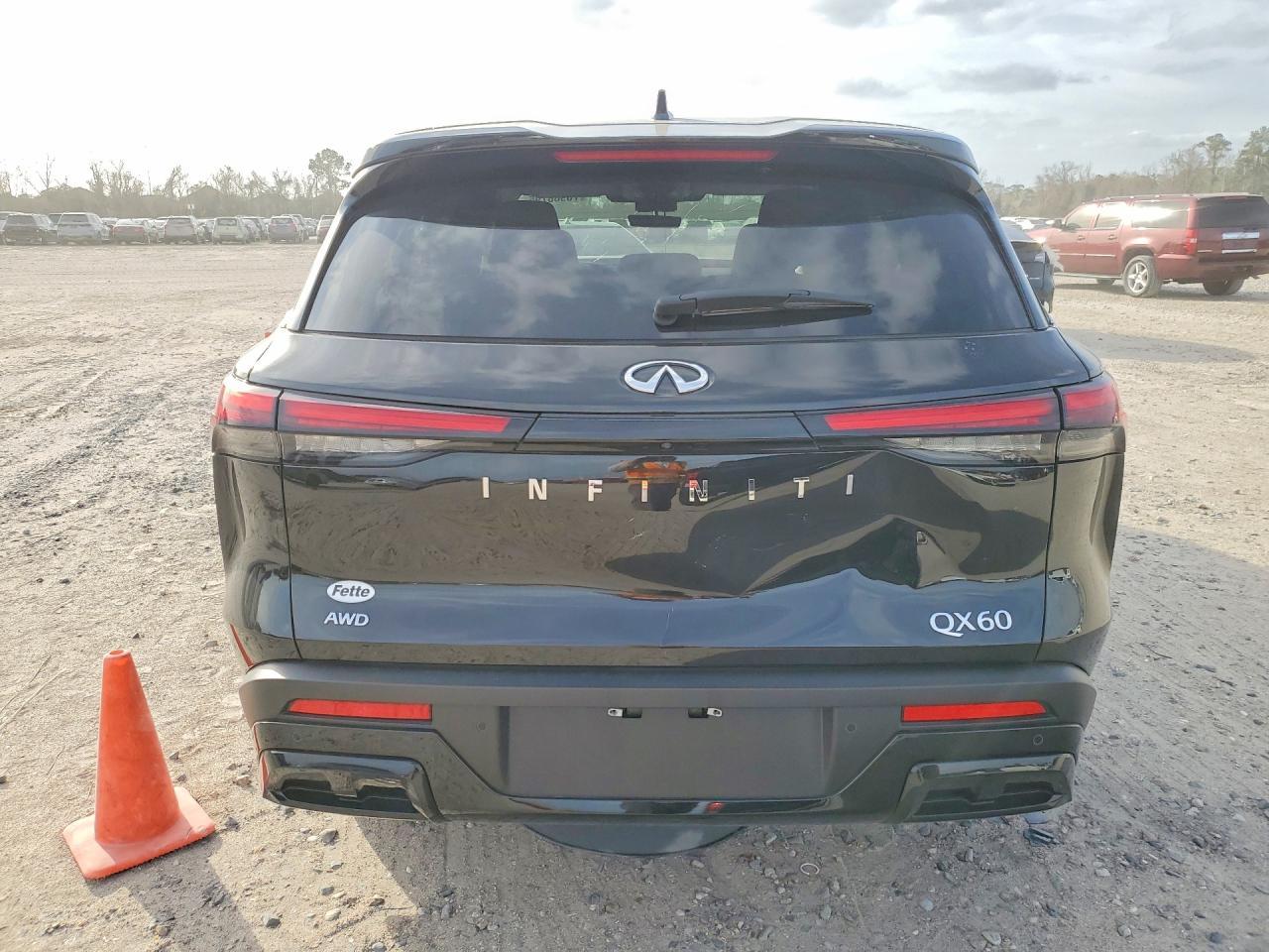 2025 Infiniti Qx60 Pure - Фото 6