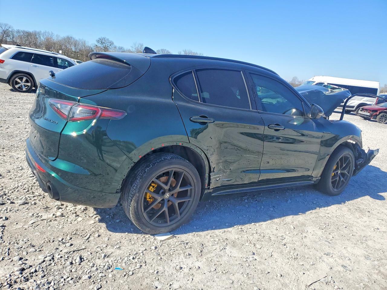 2021 Alfa Romeo Stelvio Ti - Фото 3