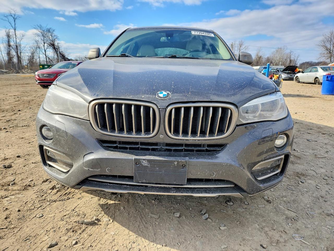 2016 BMW X6 xDrive35I - Фото 5