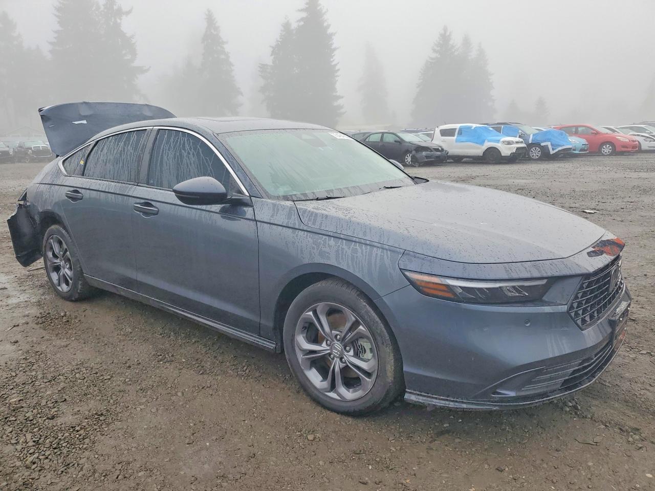 2025 Honda Accord Hybrid Exl - Фото 4