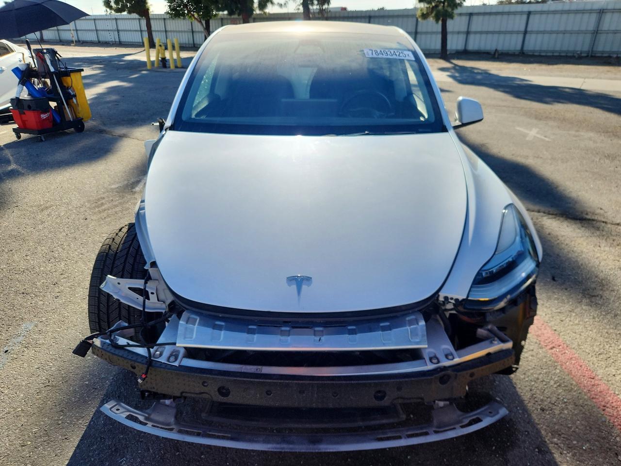 2023 Tesla Model Y - Фото 5
