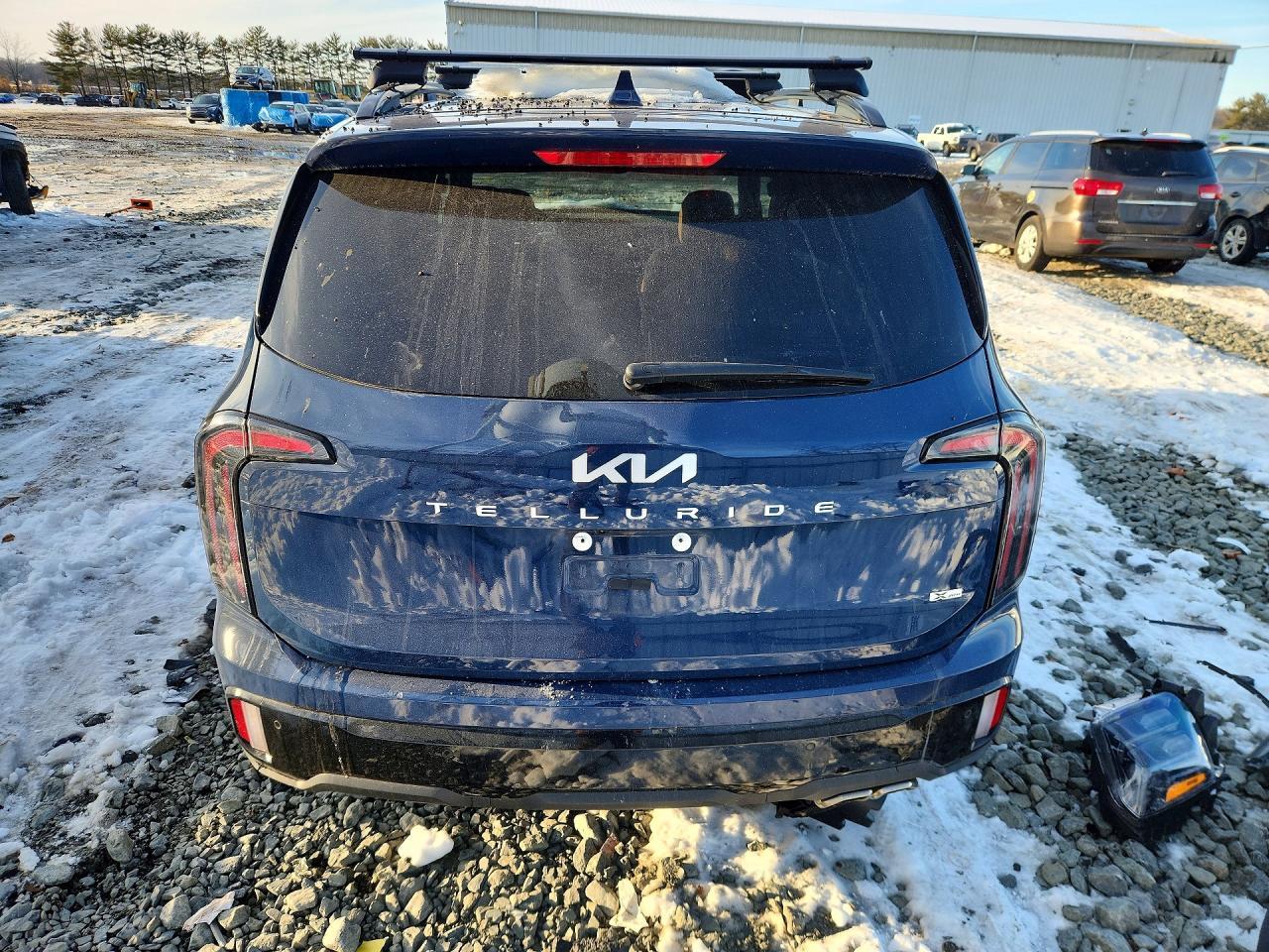 2024 Kia Telluride Sx - Фото 6