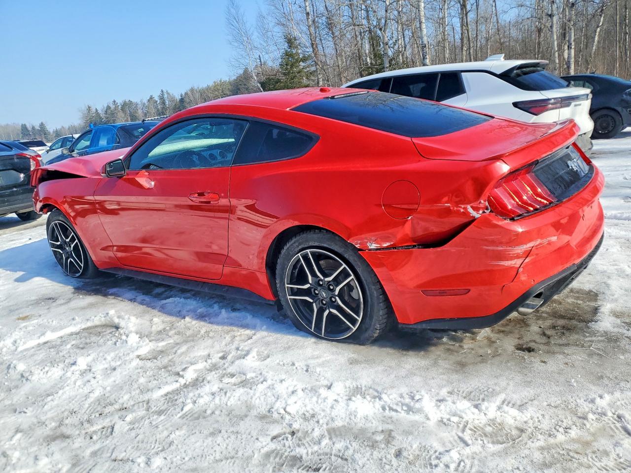 2019 Ford Mustang - Фото 2