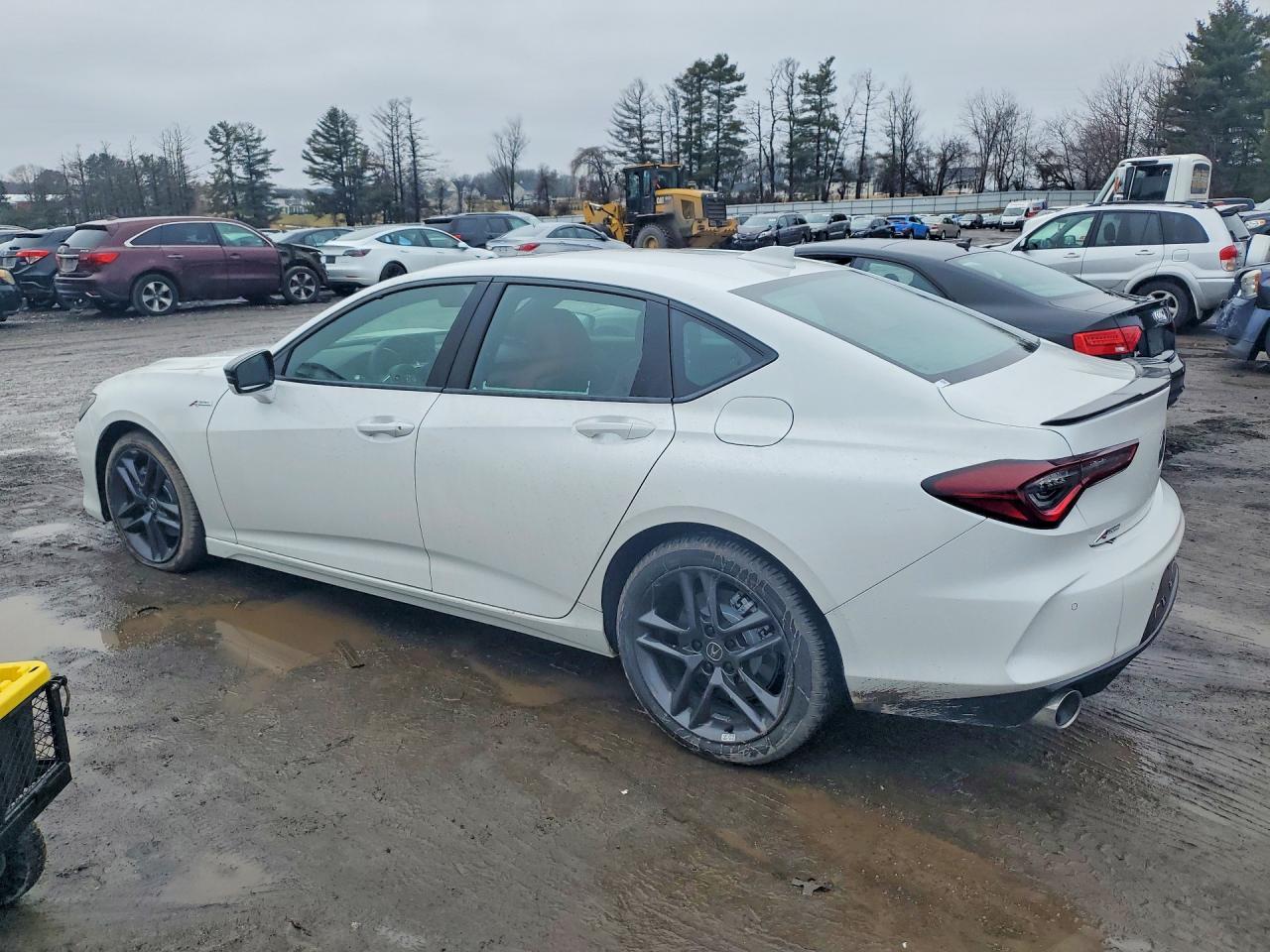 2025 Acura Tlx A-Spec - Image 2