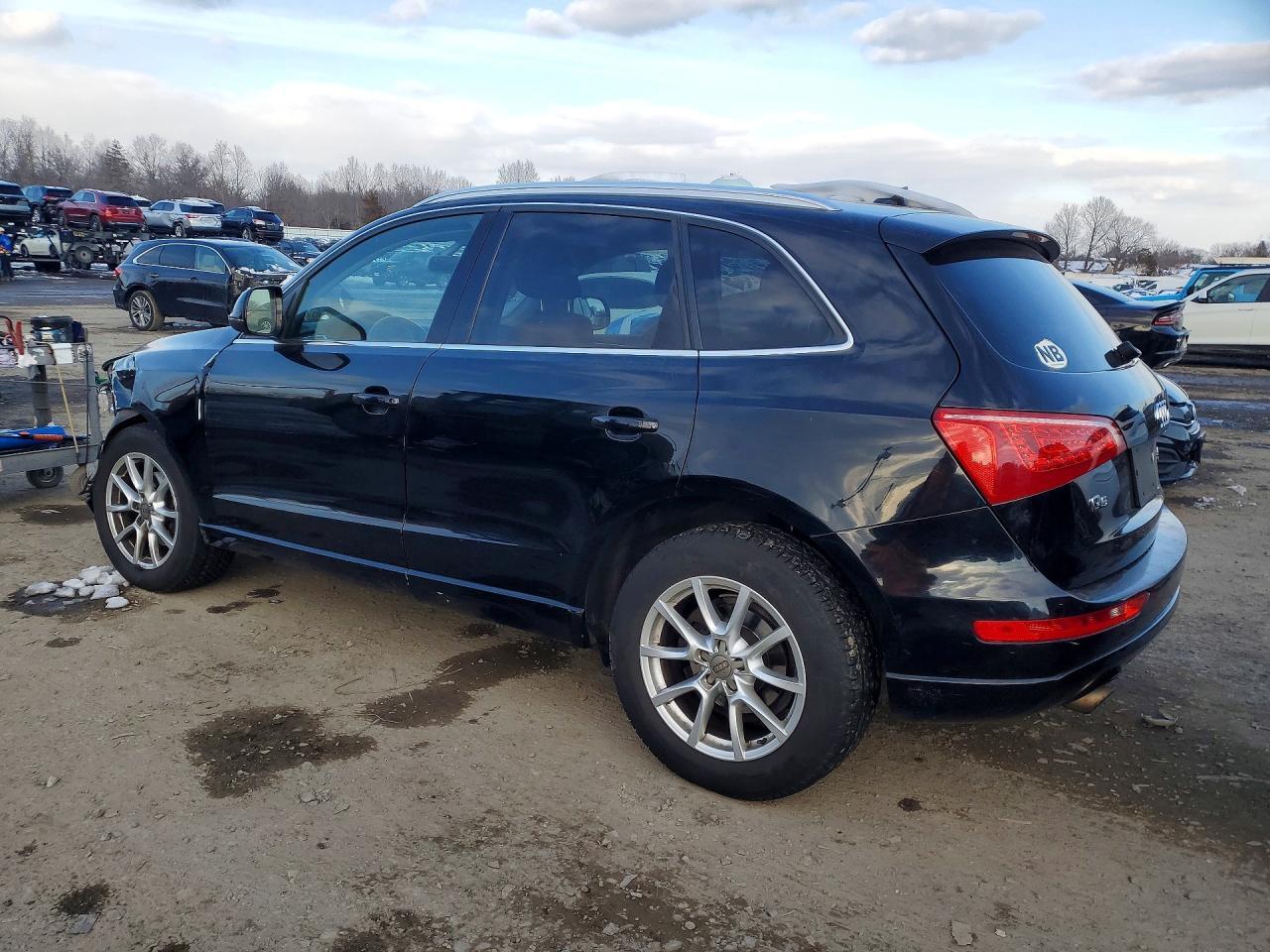 2010 Audi Q5 Premium - Фото 2