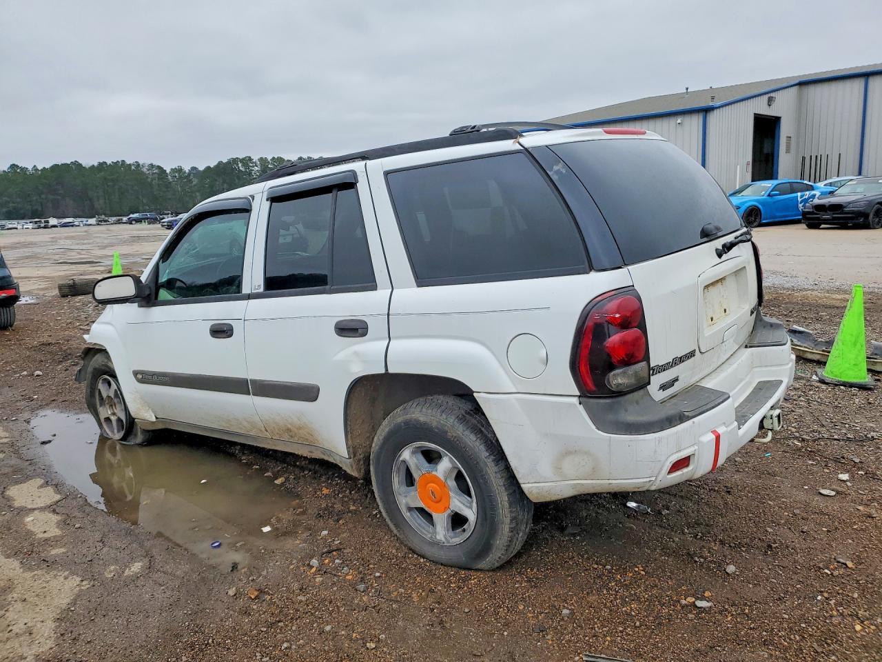 2003 Chevrolet Trailblazer - Фото 2