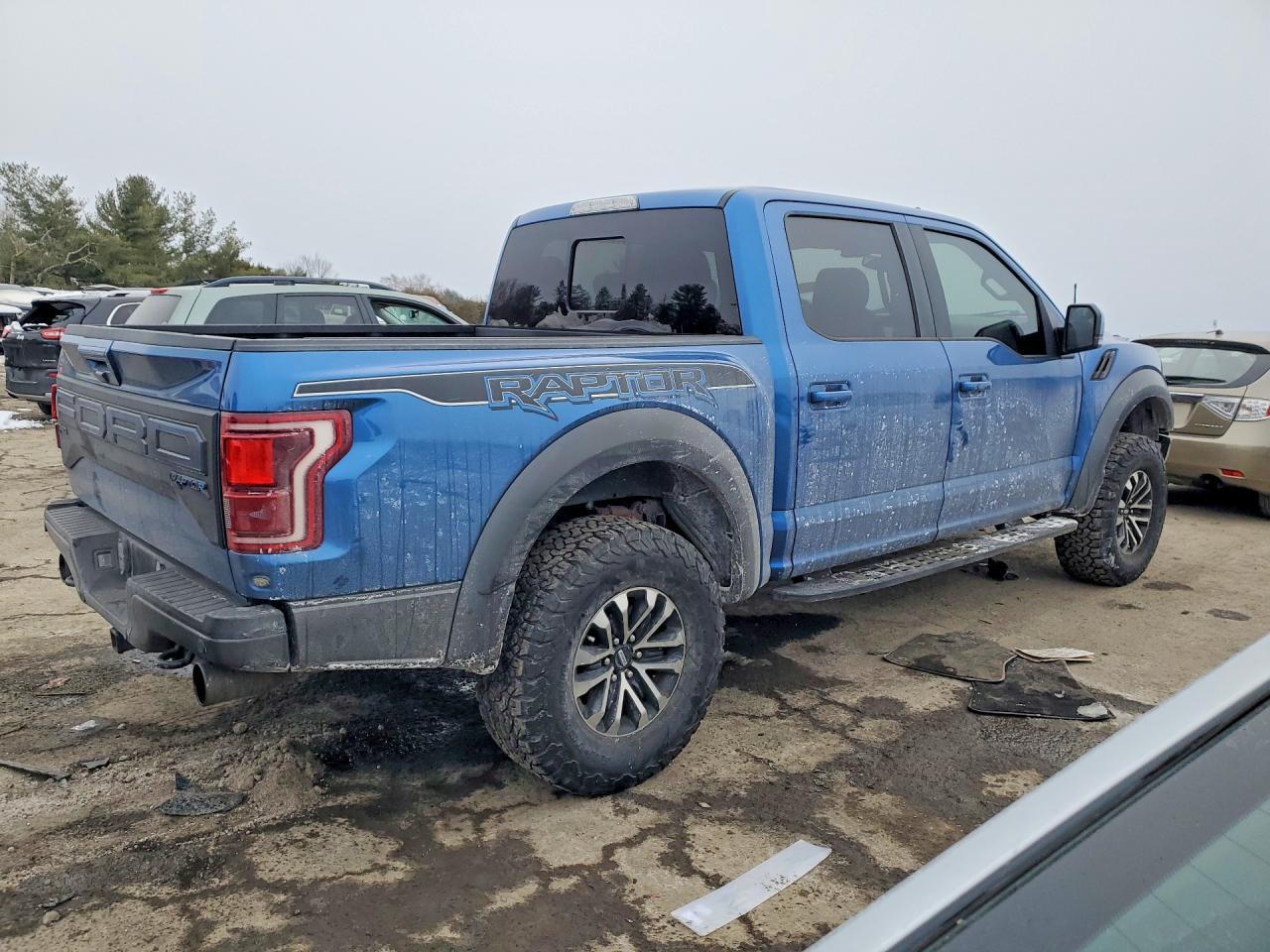 2019 Ford F150 Rapto - Фото 3