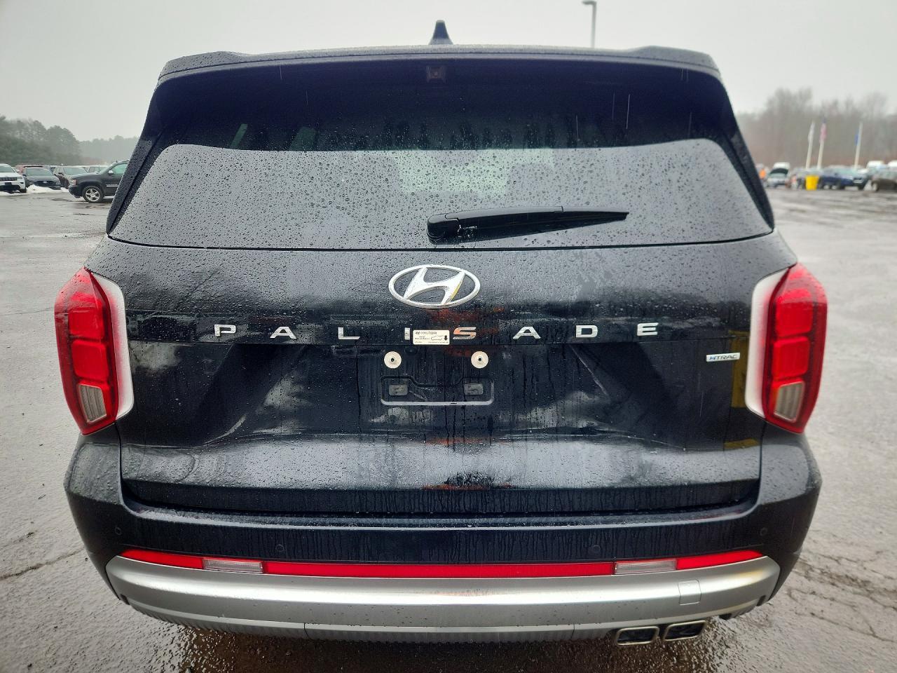 2024 Hyundai Palisade Calligraphy - Фото 6