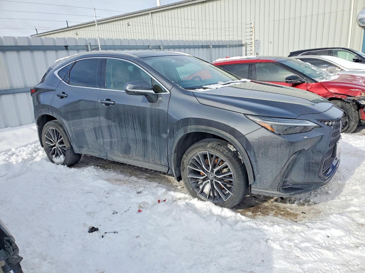 2022 Lexus Nx 350H - Фото 4