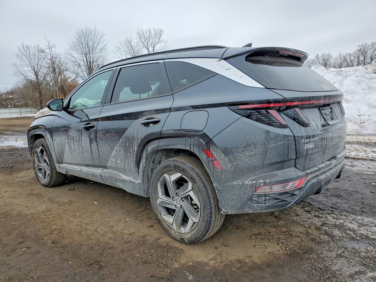 2024 Hyundai Tucson Sel - Фото 2