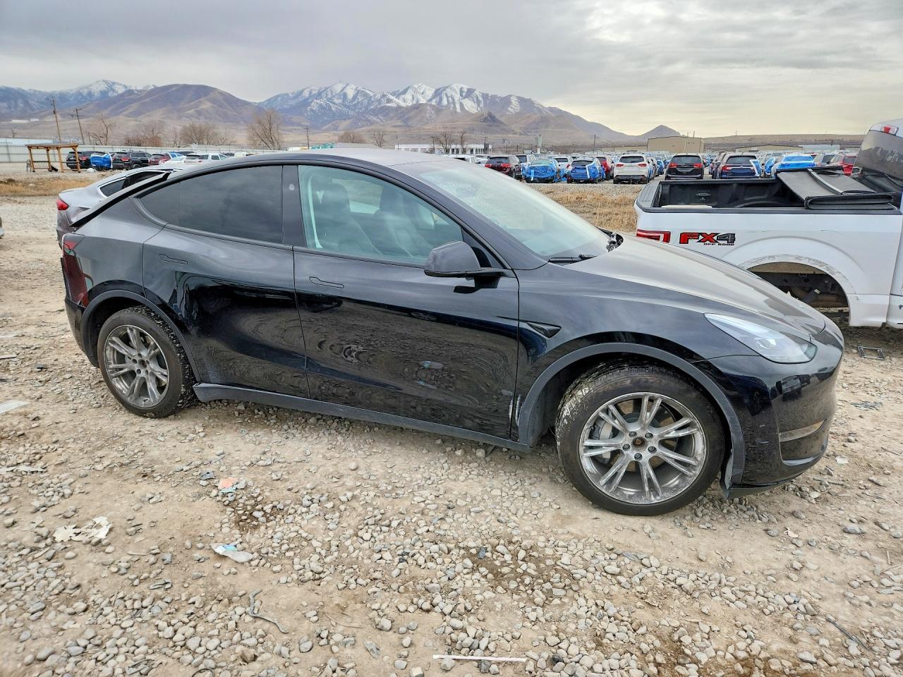 2024 Tesla Model Y - Фото 4