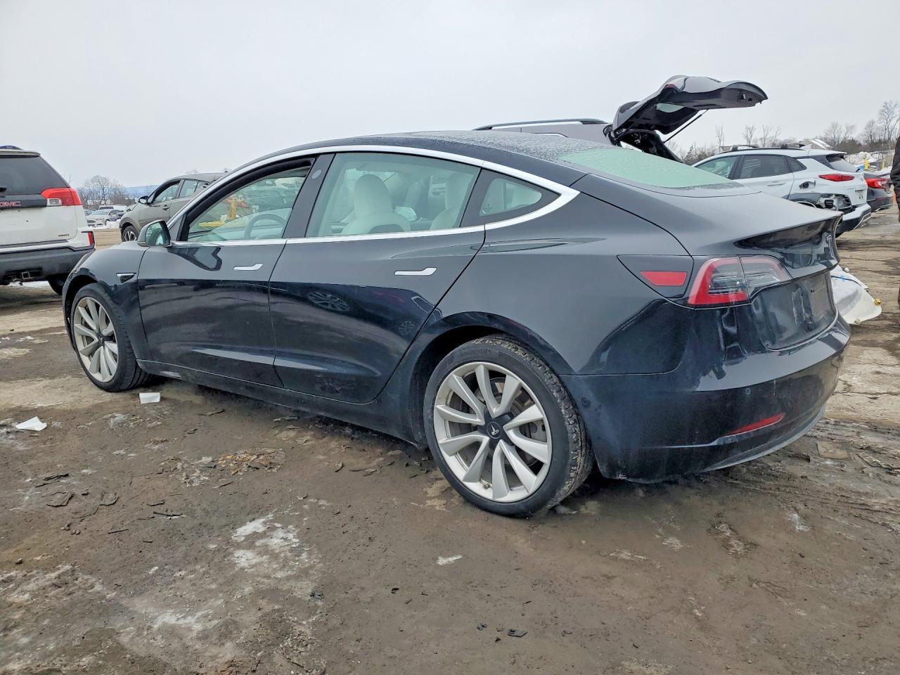 2019 Tesla Model 3 - Фото 2
