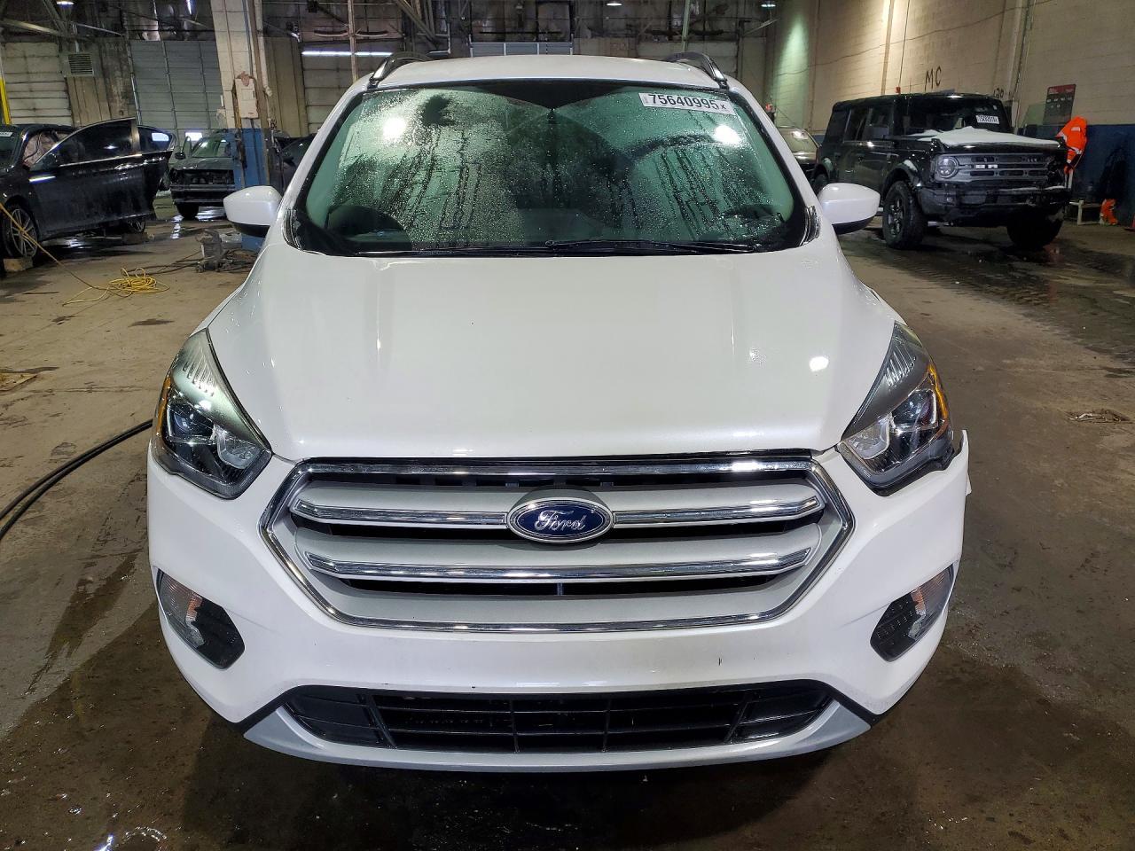 2019 Ford Escape Sel - Фото 5
