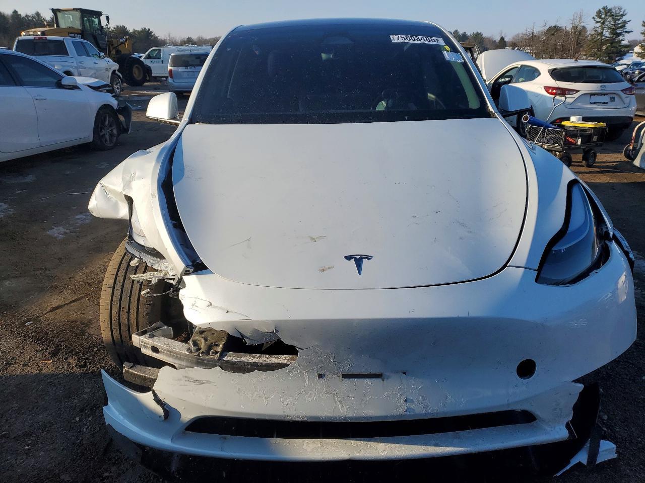 2024 Tesla Model Y - Image 5