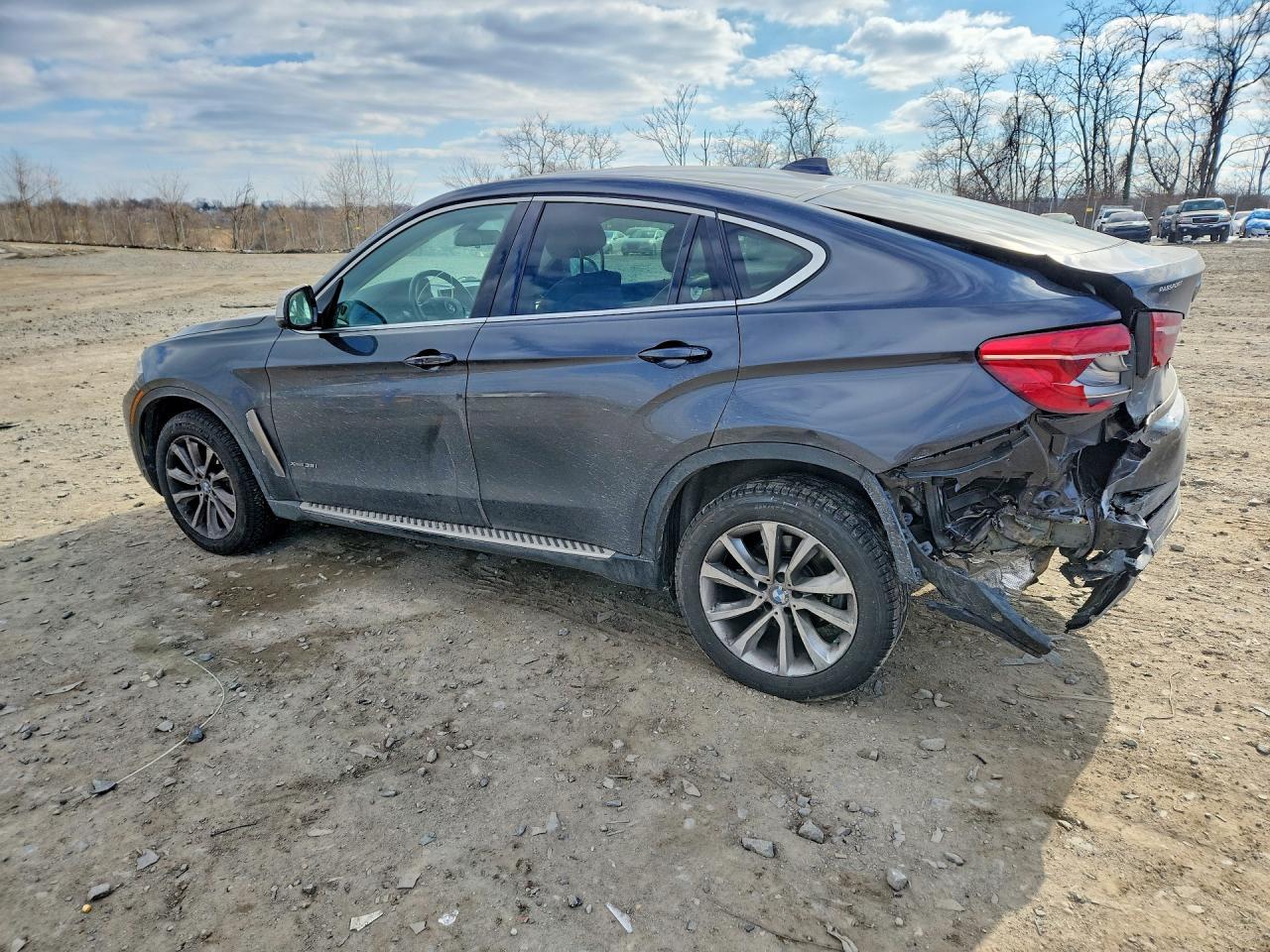 2016 BMW X6 xDrive35I - Фото 2