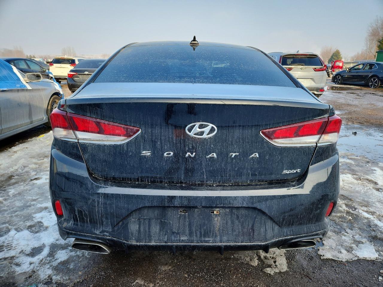 2019 Hyundai Sonata Limited 4Dr - Фото 6