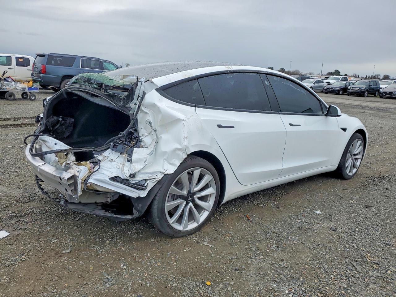2019 Tesla Model 3 - Фото 3