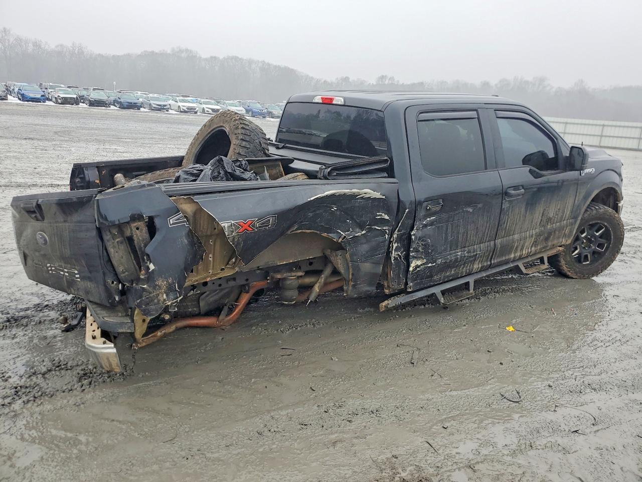 2018 Ford F150 Supercrew - Фото 3
