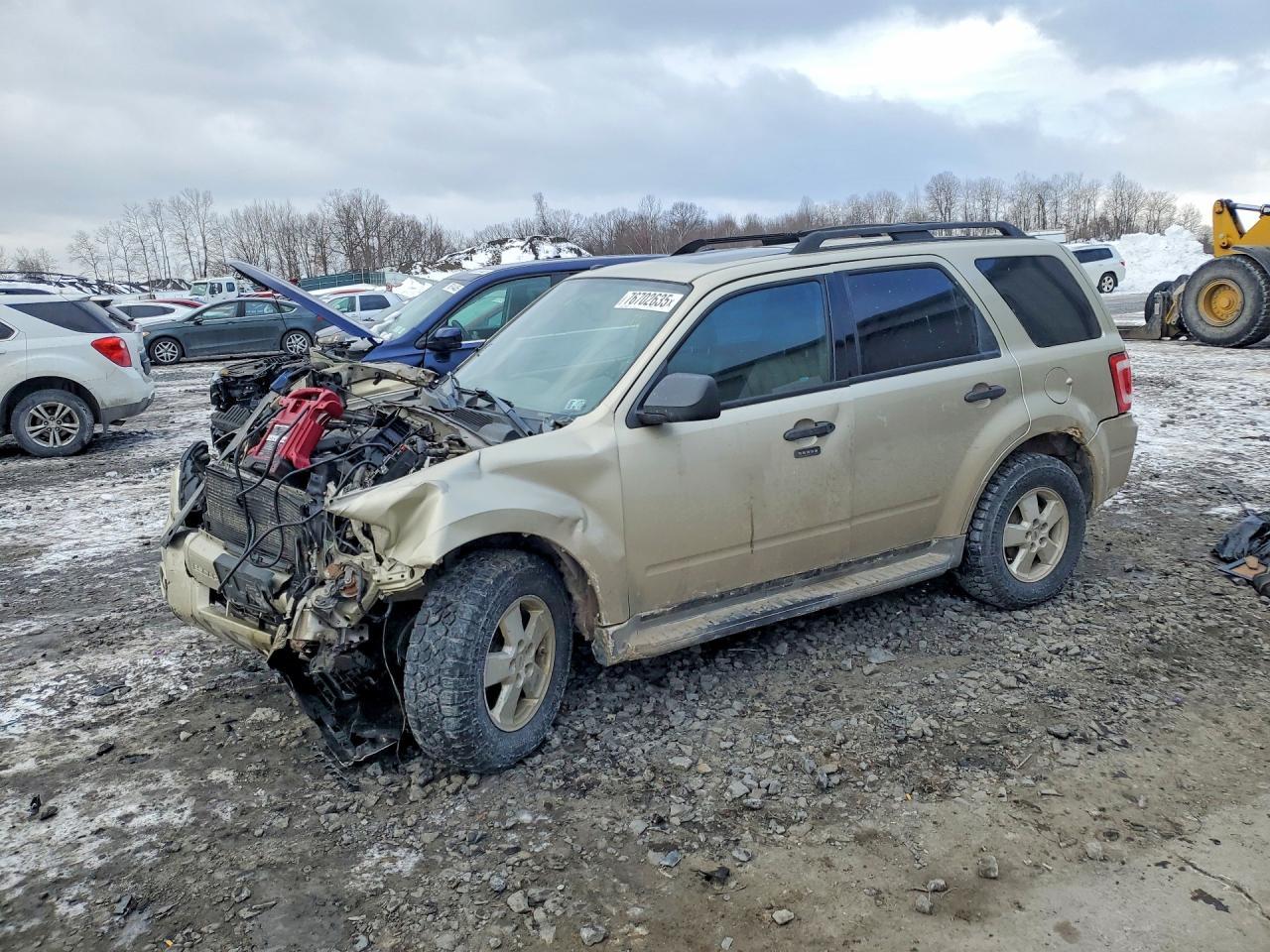 2011 Ford Escape Xlt